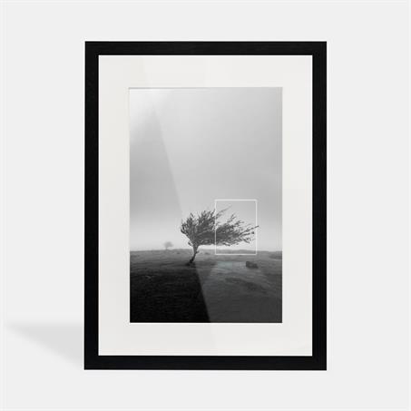 تابلو دکوراتیو بلمونت؛ درخت و باد